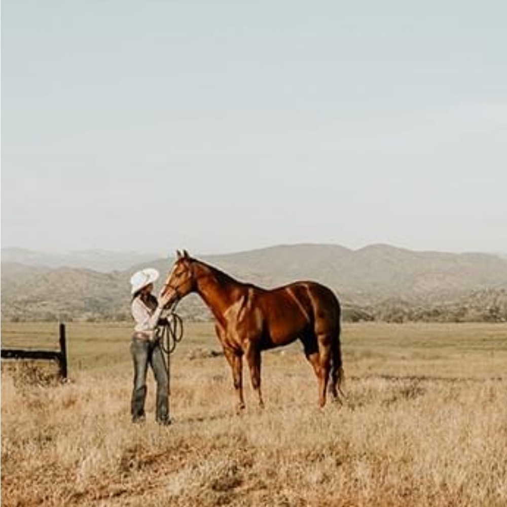 Meet your Posher, Kendall